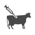 Veterinaria